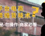 外面收费2980的全平台电商白嫖撸货技术（仅揭秘勿操作-商家防范必看）-小鸿资源库