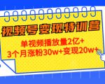 21天视频号变现特训营:单视频播放量2亿+3个月涨粉30w+变现20w+(第14期)-小鸿资源库