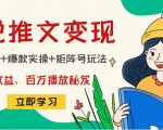 小说推文训练营：引流技巧+爆款实操+矩阵号玩法，百倍效益、百万播放秘笈-小鸿资源库