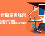 美业抖音流量训练营:从0到10w+粉丝 让你的门店用户增长+业绩增长+利润增长-小鸿资源库