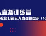 无人直播训练营：手把手教您打造无人直播操盘手（16节课时）-小鸿资源库