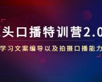 镜头口播特训营2.0版,学习文案编导以及拍摄口播能力(50节课时)-小鸿资源库