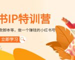小红书IP特训营：从搭建-制作-爆款脚本等等，做一个赚钱的小红书号-小鸿资源库