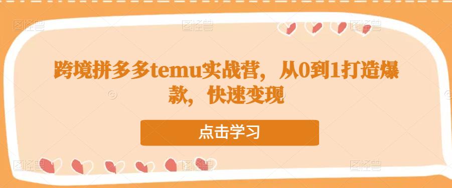 跨境拼多多temu实战营,从0到1打造爆款,快速变现-小鸿资源库