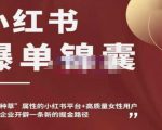 小红书爆单锦囊，自带种草属性+高质量女性用户，为你的企业开辟一条新的掘金路径-小鸿资源库
