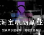 蓝Sir派·淘宝短视频快速起店，替代传统搜索方式，学会做一个不一样的淘宝店-小鸿资源库