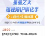 瑶瑶·自然流短视频IP孵化第二期，14天线上实战训练营，赋能100个人成为有数据能赚钱的独立IP孵化手-小鸿资源库