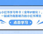 厦九九小红书学习年卡（全年IP孵化），沉浸式学习，一起成为有影响力的小红书博主-小鸿资源库