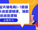 大圣淘宝天猫电商1-7层级盈利增长底层逻辑课，爆款的底层逻辑-小鸿资源库