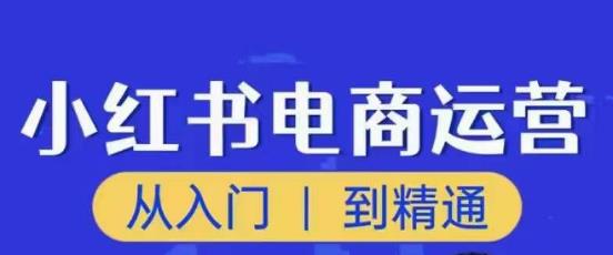 顽石小红书电商高阶运营课程,从入门到精通,玩法流程持续更新-小鸿资源库
