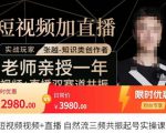张越·短视频+直播，自然流三频共振起号实操课，​短视频所有流量玩法讲解-小鸿资源库