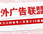 外面收费1980的最新国外LEAD广告联盟搬砖项目,单号一天至少30美金【详细玩法教程】-小鸿资源库