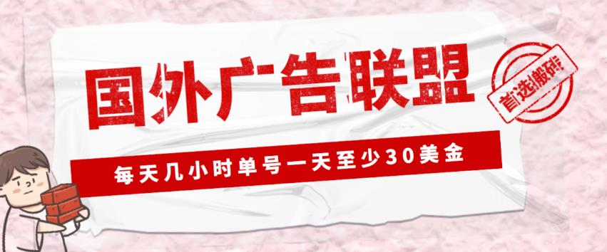 外面收费1980的最新国外LEAD广告联盟搬砖项目,单号一天至少30美金【详细玩法教程】-小鸿资源库