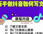 新手做抖音如何写文案,手把手实操如何拆解热门文案-小鸿资源库