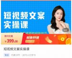 小秋·短视频文案实操课，​从0到1教你做短视频的经验技巧-小鸿资源库