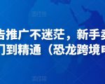 亚马逊广告推广不迷茫,新手卖家产品运营入门到精通(恐龙跨境电商)-小鸿资源库