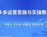 拼多多店铺运营思路与实操教程，快速学会拼多多开店和运营，少踩坑，多盈利-小鸿资源库