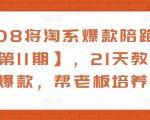 108将淘系爆款陪跑营【第11期】，21天教运营打爆款，帮老板培养运营-小鸿资源库