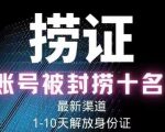 2023年最新抖音八大技术，一证多实名，秒注销，断抖破投流，永久捞证，钱包注销，跳人脸识别，蓝V多实-小鸿资源库