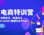 美团电商特训营:美团·店群玩法,无脑铺货月产出6000-15000+精细化月产2w+-小鸿资源库
