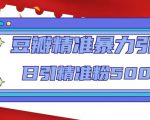 豆瓣精准暴力引流，日引精准粉500+【12课时】-小鸿资源库