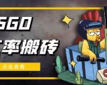 外面9800的CSGO汇率搬砖项目，一个月轻松赚几千【选品软件+详细教程】-小鸿资源库