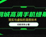 同城高清手机绿幕，直播间现实与虚拟的混搭技术，老板商家必看！-小鸿资源库