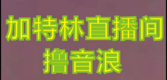 抖音加特林直播间搭建技术,抖音0粉开播,暴力撸音浪,2023新口子,每天800+【素材+详细教程】-小鸿资源库