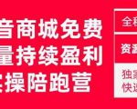 抖音商城搜索持续盈利陪跑成长营,抖音商城搜索从0-1、从1到10的全面解决方案-小鸿资源库