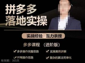 拼多多实战篇·落地实操：多多操作完整思路+实操案例讲解+拆解操作思路+复杂的算法简单化-小鸿资源库