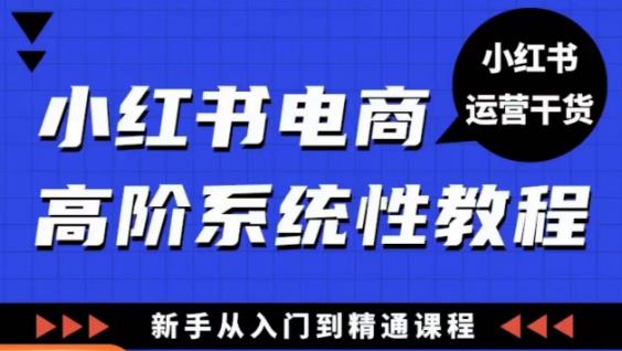 小红书电商高阶系统教程，新手从入门到精通系统课-小鸿资源库