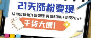 21天精准涨粉变现干货大课:从10位粉丝开始变现月增5000+变现20w+-小鸿资源库