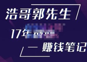 浩哥郭先生17年创业赚米笔记,打开你对很多东西的认知,让你知道原来赚钱或创业不单单是发力就行-小鸿资源库