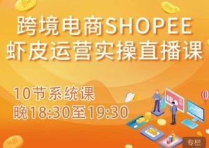 跨境电商Shopee虾皮运营实操直播课，从零开始学，入门到精通（10节系统课）-小鸿资源库