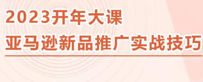 2023亚马逊新品推广实战技巧，线下百万美金课程的精简版，简单粗暴可复制，实操性强的推广手段-小鸿资源库