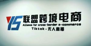 YS联盟·Tiktok无人直播，不出镜不剪辑不拍摄不发货无售后的跨境短视频躺赚玩法-小鸿资源库