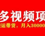 多多带货视频快速50爆款拿带货资格，搬运带货，月入30000【全套脚本+详细玩法】-小鸿资源库