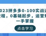 2023拼多多0-100实战运营教程，0基础起步，运营知识一手掌握-小鸿资源库