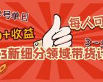 2023新细分领域带货计划：单号单日1000+收益不难，每人可操作3-5个账号-小鸿资源库
