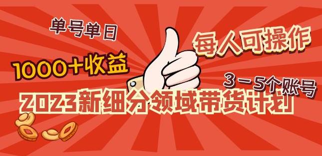2023新细分领域带货计划：单号单日1000+收益不难，每人可操作3-5个账号-小鸿资源库