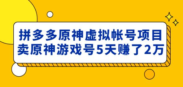 外面卖2980的拼多多原神虚拟帐号项目:卖原神游戏号5天赚了2万-小鸿资源库