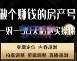 刘广标·同城房产号线上陪跑课，拍摄、剪辑、写文案、直播，做一个具有潜力价值的房产号-小鸿资源库
