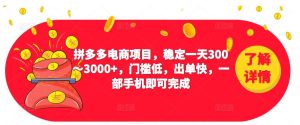 2023拼多多电商项目，稳定一天300～3000+，门槛低，出单快，一部手机即可完成-小鸿资源库