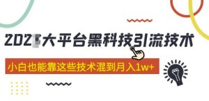 大平台黑科技引流技术，小白也能靠这些技术混到月入1w+(2022年的课程）-小鸿资源库