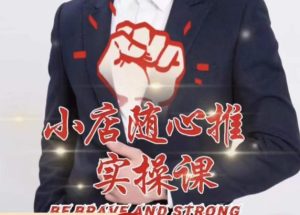 随心推线上课，小店随心推的投放逻辑，投放技巧，快速打标签-小鸿资源库