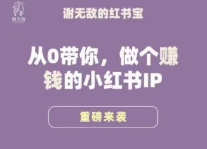 谢无敌·小红书运营大宝典,从0带你做个赚钱的小红书IP-小鸿资源库