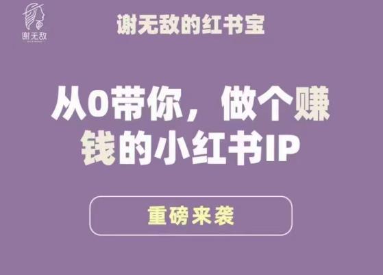 谢无敌·小红书运营大宝典,从0带你做个赚钱的小红书IP-小鸿资源库