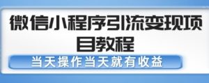 微信小程序引流变现项目教程,当天操作当天就有收益,变现不再是难事-小鸿资源库