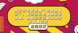 拼多多实战宝典“初级到高手”，新手小白必看拼多多课程，带你全方位解读拼多多各种玩法-小鸿资源库