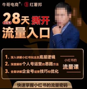 牛哥电商红薯邦28天撕开小红书流量入口,小红书运营系列课,快速掌握小红书的流量密码-小鸿资源库
